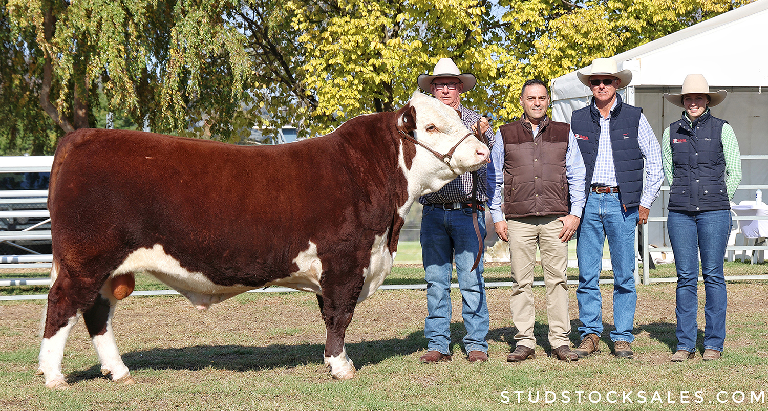 Glendan Park U212(PP) sold $44000 for web